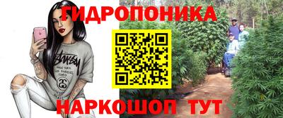 ГАЛЛЮЦИНОГЕННЫЕ ГРИБЫ Будённовск