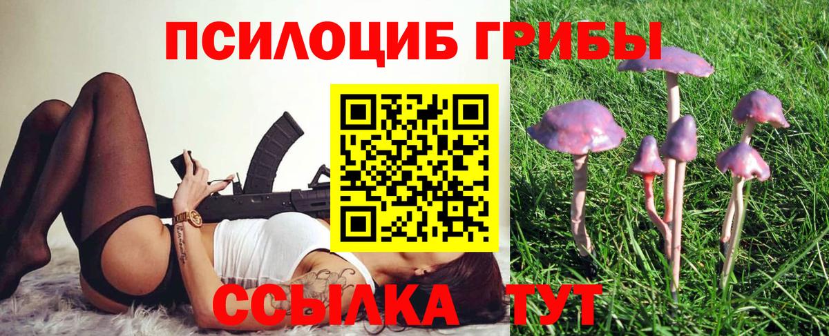 Майский  закладка  Вход с VPN  Галлюциногенные грибы Cubensis 